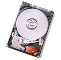 WESTERN DIGITAL Travelstar 320GB HDD SATA