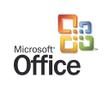 MICROSOFT EXCEL OLV GOV LIC W/SA L:D 1YACQY1 ADP LICS