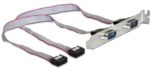 DELOCK Slotblech 2x D-Sub9 seriell Ports 40cm Kabe (89268)