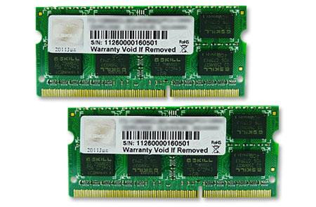 G.SKILL 8GB DDR3-1600 (F3-1600C11S-8GSQ)