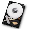 WESTERN DIGITAL HD/Deskstar 7K1000D 3.5 7200 1000GB SATA