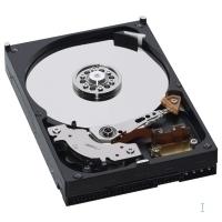 WESTERN DIGITAL AV 160GB HDD CE 7200rpm (WD1600AVJB)