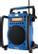 SANGEAN Digital AM/FM Utility Radio