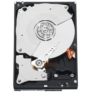 WESTERN DIGITAL WD RE4 1TB SATA 3Gb/s 7200RPM HDD (WD1003FBYX)