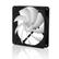 ARCTIC COOLING Lüfter 120x120x25 F12
