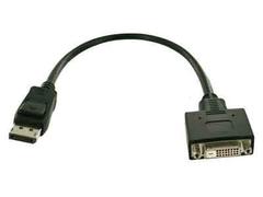 FUJITSU Display Port/ DVI Adapter Kabel