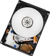 WESTERN DIGITAL Travelstar 5K500.B 320GB HDD (HTS545032B9A300)