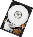WESTERN DIGITAL Travelstar 5K500.B 320GB HDD
