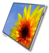 DELL LCD, WXGA, 13.3, Anti-glare (FM736)