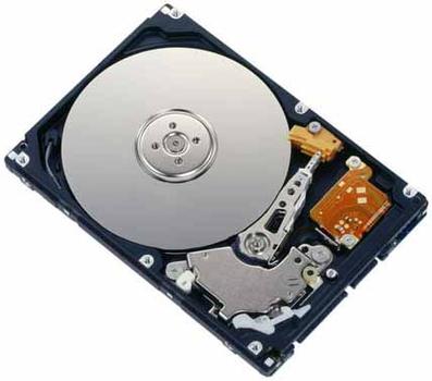 FUJITSU HD SATA 3G 320GB 5.4K NO (S26361-F3599-L320)