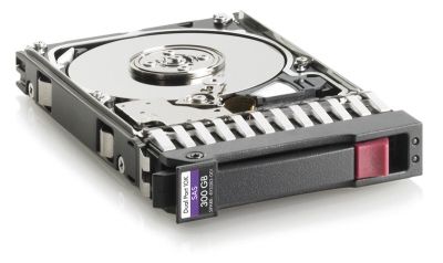 HPE 300GB 10.000Rpm 2.5 Inch SAS SPECIALBID (493083-001)