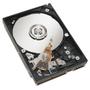 IBM 1TB 7.2K 3.5-inch NL HDD for D