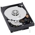 WESTERN DIGITAL AV 500GB HDD CE 7200rpm (WD5000AVJB)