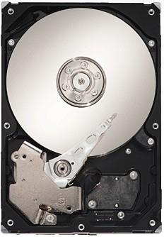 SEAGATE Barracuda 7200.11 1TB SATA2 32MB 7200RPM (ST31000340AS)