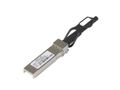 NETGEAR Cord of 3 meters SFP+