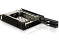 DELOCK 3.5" Mobile Rack for 2x2,5" SA