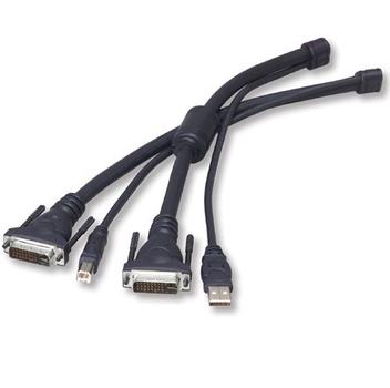 BELKIN Omniview Secure Kabelgarnitur USB/DVI 3,0m (F1D9201-10)