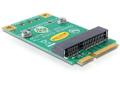 DELOCK Mini PCI Expr Card Konverter Half-Size -> F