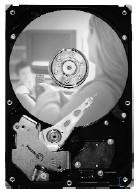 SEAGATE DB35 Serie 7200.3 160GB HDD CE (ST3160215ACE)