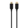 BELKIN Cable HDMI MM 1m High Speed WEthe