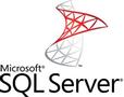 MICROSOFT SQL Server Enterprise Edition - Licens- och programvaruförsäkring - 1 server - Open Value Subscription - Nivå E - extra produkt, årlig avgift - Win - Alla språk