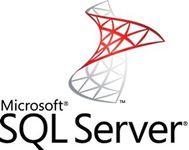MICROSOFT SQL Server Enterprise Edition - Licens- och programvaruförsäkring - 1 processor - Open Value Subscription - Nivå E - extra produkt, årlig avgift - Win - Alla språk (810-08640)
