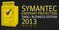 SYMANTEC GOV-A Endpoint Protection SBE 2013 Per User Hosted and Onpremise SUB Upfront Bill GOV Band A SB Support 12 Monate (ML)
