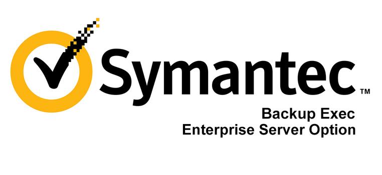 SYMANTEC BACKUP EXEC 2012 ENTERPRISE SERVEROPTION WIN PER MANAGED SERVER RENEWAL BASIC 12MONTHS EXPRESS BAND S (CPDIWZZ0-BR1ES)