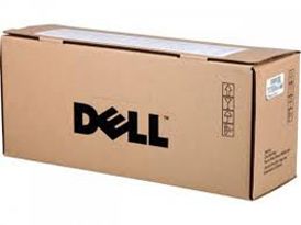 DELL 1 - original - tonerpatron Use and Return - for Personal P1500 (593-10009)