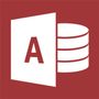 MICROSOFT Access 2013 - Licens - 1 PC - MOLP: Open Business - Win - Single Language