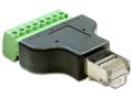 DELOCK Adapter Terminalblock 8pin -> RJ45 St