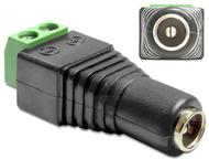 DELOCK Adapter Terminalblock 2pin -> DC 2,5 x 5,5m (65485)