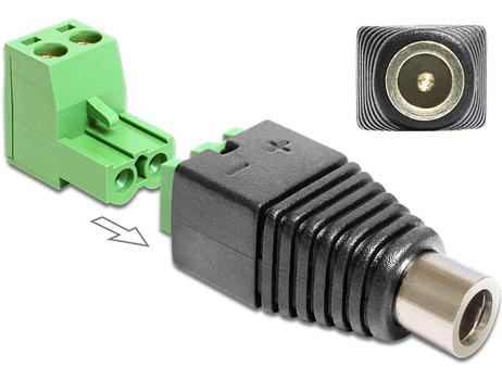 DELOCK Adapter Terminalblock 2pin -> DC 2,1 x 5,5m (65423)