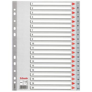 ESSELTE PP Index A4 1-20 Grey (100107*10)
