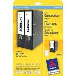 AVERY Filing Labels, Wide (L6061-25)