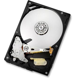 WESTERN DIGITAL Deskstar 7K1000.C 500GB HDD (HDS721050CLA362)