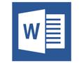 MICROSOFT MOLP/Word 2013/SGL ONL