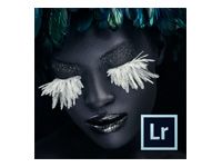 ADOBE Lightroom - Upgrade Plan 24 months - TLP-G - Multiple Platforms - International English