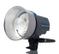 ELINCHROM D-Lite RX ONE
