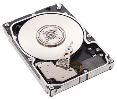 FUJITSU HDD SAS 6G 300GB 10K HOT PL (S26361-F5244-L130)