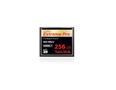 SANDISK COMPACT FLASH CARD 256GB EXTREME PRO 160MB/S VERSION EXT