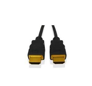 FUJITSU HDMI to DVI-D Cable (S26391-F6055-L250)