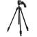 VANGUARD Espod CX 203AGH