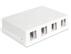 DELOCK Keystone Gehäuse 4 Port wh