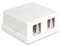 DELOCK Keystone Surface Mounted Box 2 Port