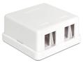 DELOCK Keystone Surface Mounted Box 2 Port (86207)