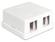 DELOCK Keystone Gehäuse 2 Port wh (86207)