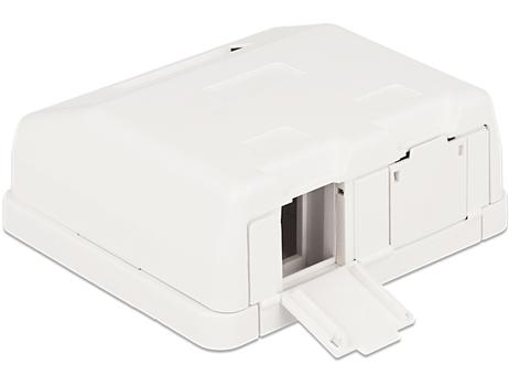 DELOCK Keystone Surface Mounted Box 2 Port with dust cover (86236)