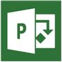 MICROSOFT PROJECT 2013 STD 1 LICS SW