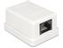 DELOCK Netzwerk Dose Delock RJ45 Buchse ext -> LSA Leiste int